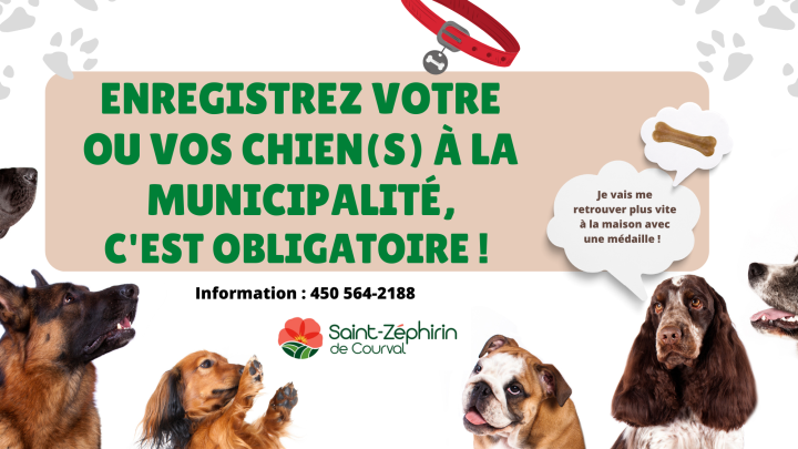 Obligation d'enregistrer vos chiens