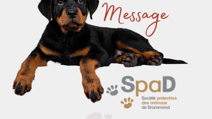 MESSAGE IMPORTANT DE LA SPAD - Responsabilités des propriétaires de chiens