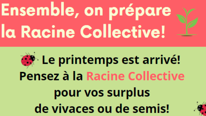 La Racine Collective surplus de vivaces et de semences