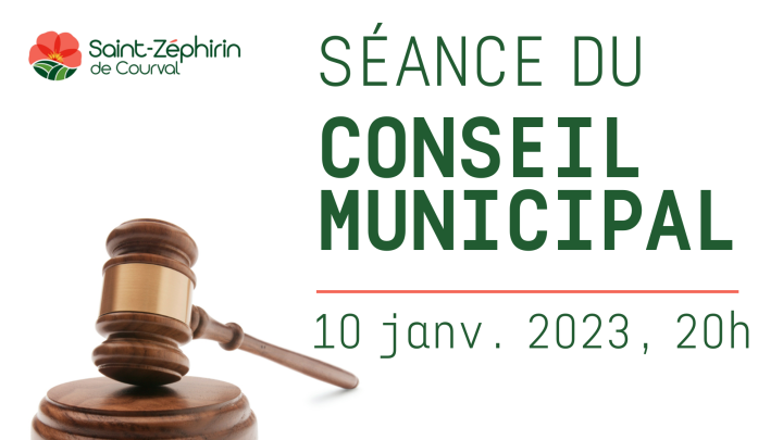 Séance du conseil ordinaire, 20h