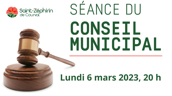 Séance du conseil ordinaire, 20h
