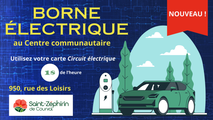 NOUVEAU Borne électrique
