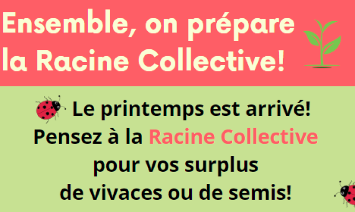 La Racine Collective surplus de vivaces et de semences
