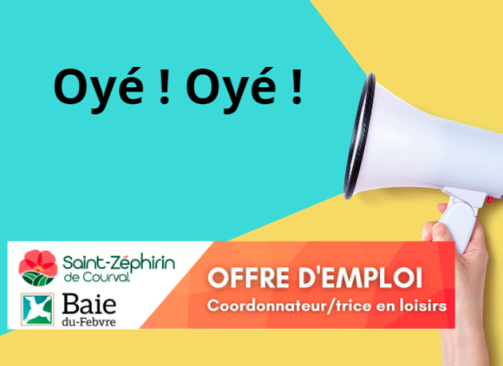 Offre d'emploi