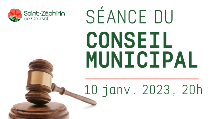 Séance du conseil ordinaire, 20h